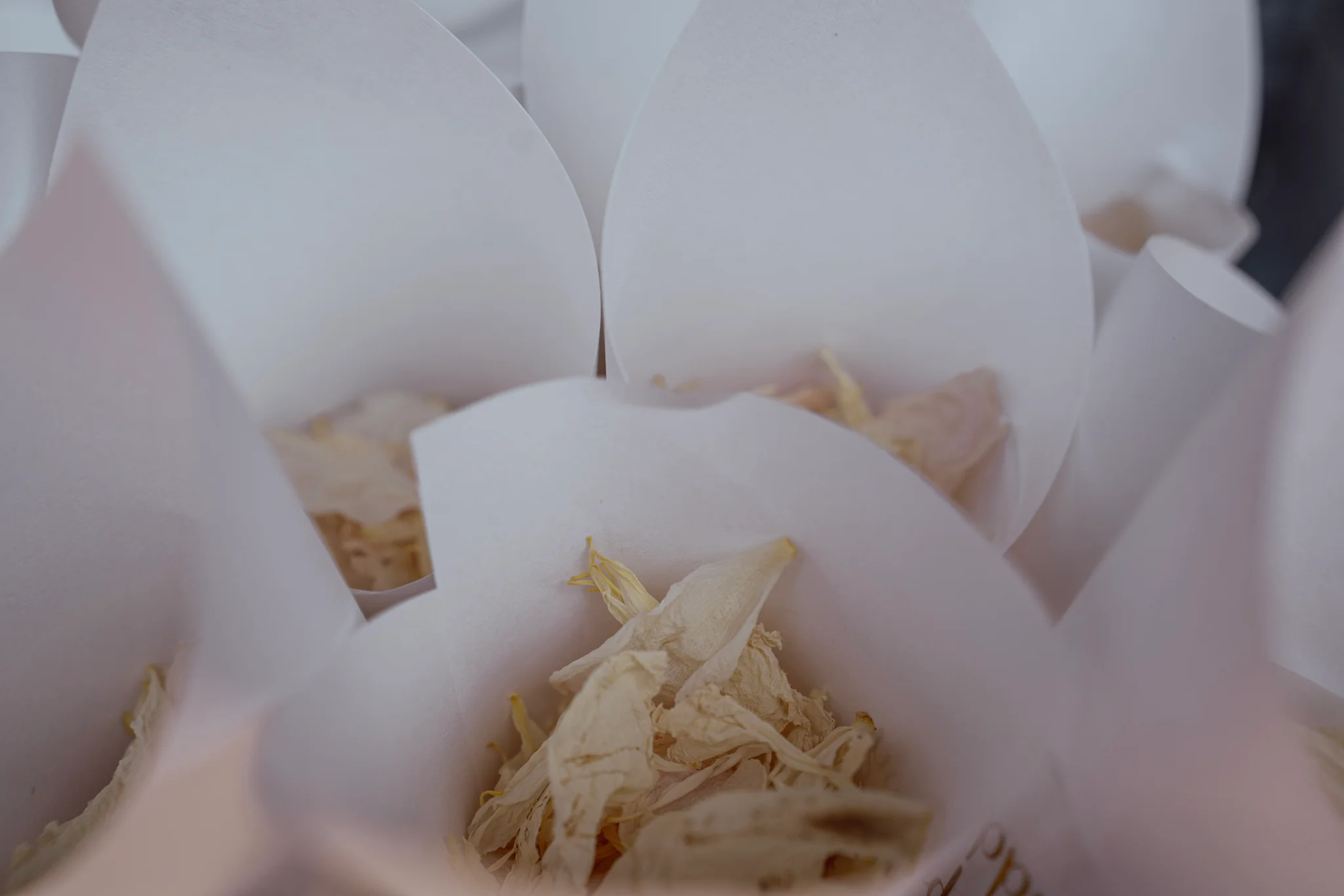 Rose petals in a wedding confetti cone.
