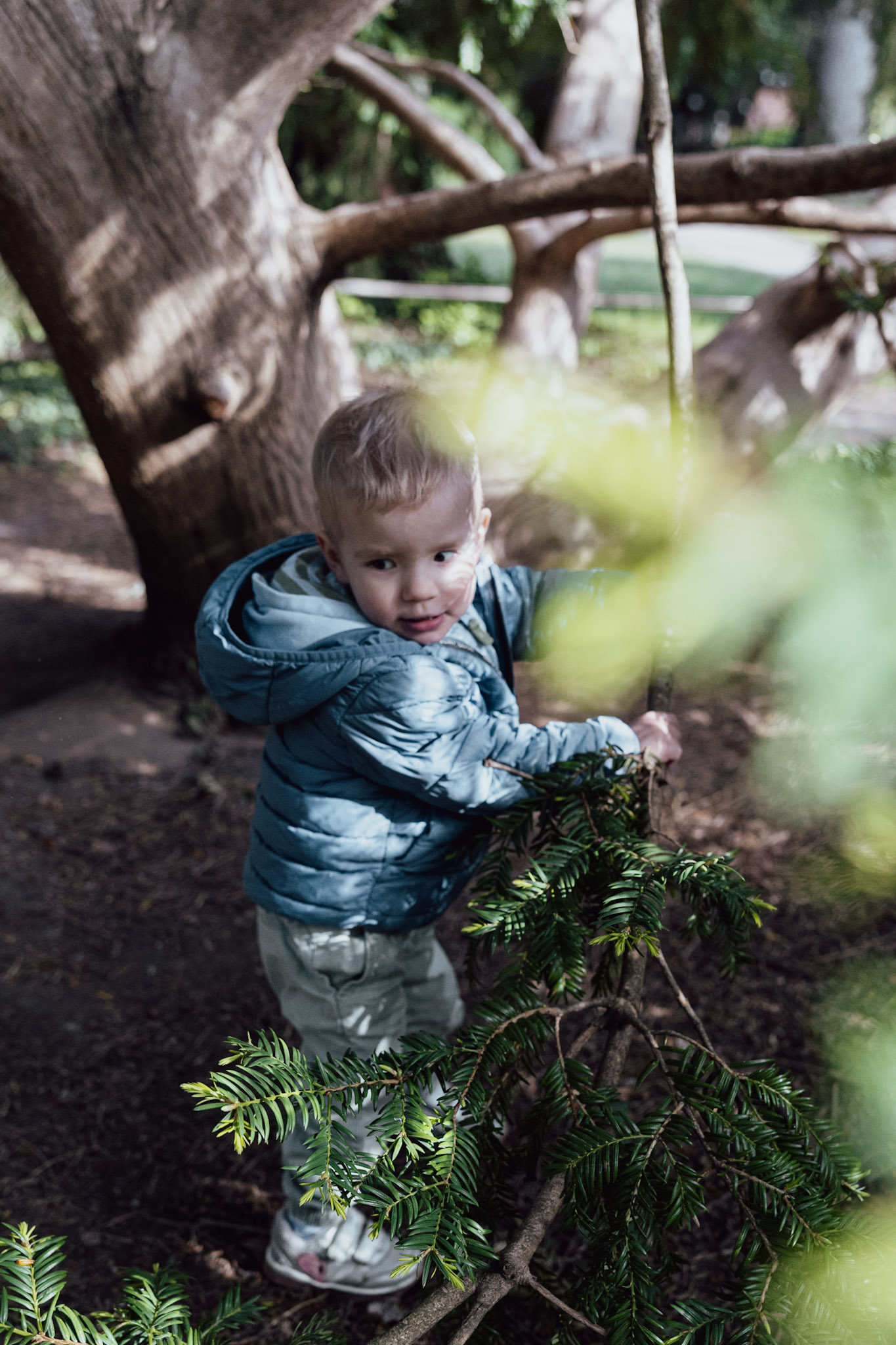 Little boy playing beneath the trees.